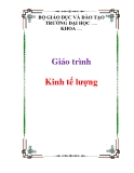  Giáo trình học Kinh tế lượng