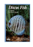 Discus fish thomas giovanetti