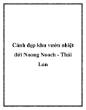 Cảnh đẹp khu vườn nhiệt đới Noong Nooch - Thái Lan