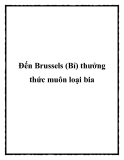 Đến Brussels (Bỉ) thưởng thức muôn loại bia