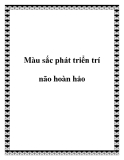 Màu sắc phát triển trí não hoàn hảo