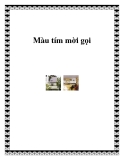 Màu tím mời gọi