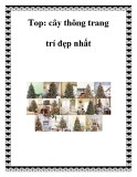 Top: cây thông trang trí đẹp nhất