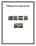 Những ban công lá hoa