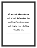 Kết quả bước đầu nghiên cứu một số bệnh thường gặp ở tôm hùm bông (Panulirus ornatus) nuôi lồng tại vùng biển Sông Cầu, Phú Yên