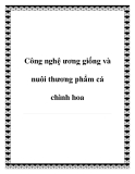 Công nghệ ương giống và nuôi thương phẩm cá chình hoa