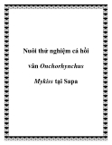 Nuôi thử nghiệm cá hồi vân Onchorhynchus Mykiss tại Sapa