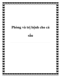 Phòng và trị bệnh cho cá sấu