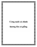 Ương nuôi cá chình hương lên cá giống