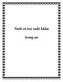 Nuôi cá tra xuất khẩu trong ao