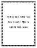 Kĩ thuật nuôi cá tra và cá basa trong bè: Mùa vụ nuôi và cách cho ăn