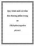 Quy trình nuôi cá trắm đen thương phẩm trong ao (Mylopharyngodon piceus)