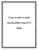 Ương và nuôi cá chình thương phẩm trong bể xi măng