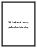 Các kỹ thuật nuôi thương phẩm tôm chân trắng