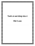 Nuôi cá mú khép kín ở Đài Loan