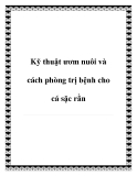 Kỹ thuật ươm nuôi và cách phòng trị bệnh cho cá sặc rằn