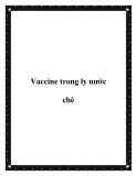 Vaccine trong ly nước chè