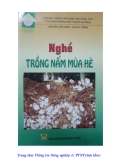 Kinh nghiệm trồng nấm mùa hè