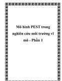 Mô hình PEST trong nghiên cứu môi trường vĩ mô - Phần 1