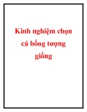 Kinh nghiệm chọn cá bống tượng giống