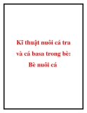 Kĩ thuật nuôi cá tra và cá basa trong bè: Bè nuôi cá