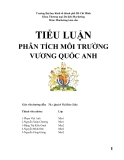  TIỂU LUẬN: PHÂN TÍCH MÔI TRƯỜNG VƯƠNG QUỐC ANH