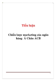 Tiểu luận: Chiến lược marketing của ngân hàng Á Châu ACB