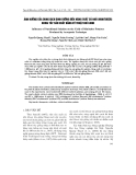 BÁO CÁO " ẢNH HƯỞNG CỦA DUNG DỊCH DINH DƯỠNG ĐẾN NĂNG SUẤT CỦ NHỎ (MINITUBER) KHOAI TÂY SẢN XUẤT BẰNG KỸ THUẬT KHÍ CANH "