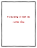 Cách phòng trị bệnh cho cá điêu hồng