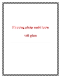 Phương pháp nuôi lươn với giun