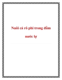 Nuôi cá rô phi trong đầm nước lợ