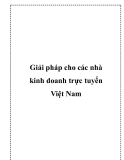 Giải pháp cho các nhà kinh doanh trực tuyến Việt Nam