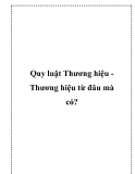 Quy luật Thương hiệu Thương hiệu từ đâu mà có?