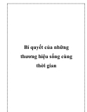 Bí quyết của những thương hiệu sống cùng thời gian