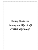 Hướng đi nào cho thương mại điện tử nội (TMĐT Việt Nam)?