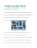 Thuốc hay Ngũ bội tử