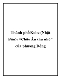 Thành phố Kobe (Nhật Bản): “Châu Âu thu nhỏ" của phương Đông