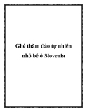 Ghé thăm đảo tự nhiên nhỏ bé ở Slovenia