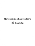 Quyến rũ đảo hoa Madeira (Bồ Đào Nha)