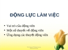 Động lực làm việc