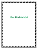 Sâm đất chữa bệnh