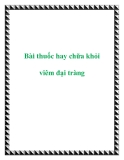 Bài thuốc hay chữa khỏi viêm đại tràng