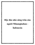 Độc đáo nhà sừng trâu của người Minangkabau Indonesia