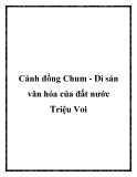 Cánh đồng Chum - Di sản văn hóa của đất nước Triệu Voi