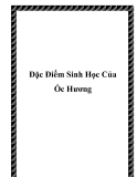 Đặc Điểm Sinh Học Của Ốc Hương