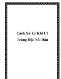 Cách Xử Lý Khi Cá Trúng Độc Nổi Đầu