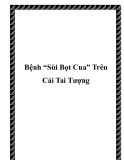 Bệnh “Sùi Bọt Cua” Trên Cái Tai Tượng