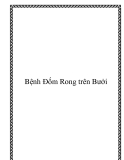 Bệnh Đốm Rong trên Bưởi