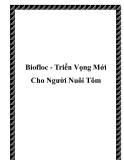 Biofloc - Triển Vọng Mới Cho Người Nuôi Tôm