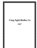 Công Nghệ Biofloc Là Gì?